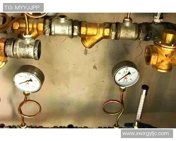 水管阀门在家庭管道系统中的关键作用与常见故障排除方法解析 水管阀门在家庭管道系统中的关键作用与常见故障排除方法解析