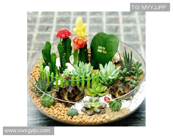 盆栽植物的养护技巧与装饰设计,打造温馨绿色生活空间 盆栽植物的养护技巧与装饰设计,打造温馨绿色生活空间